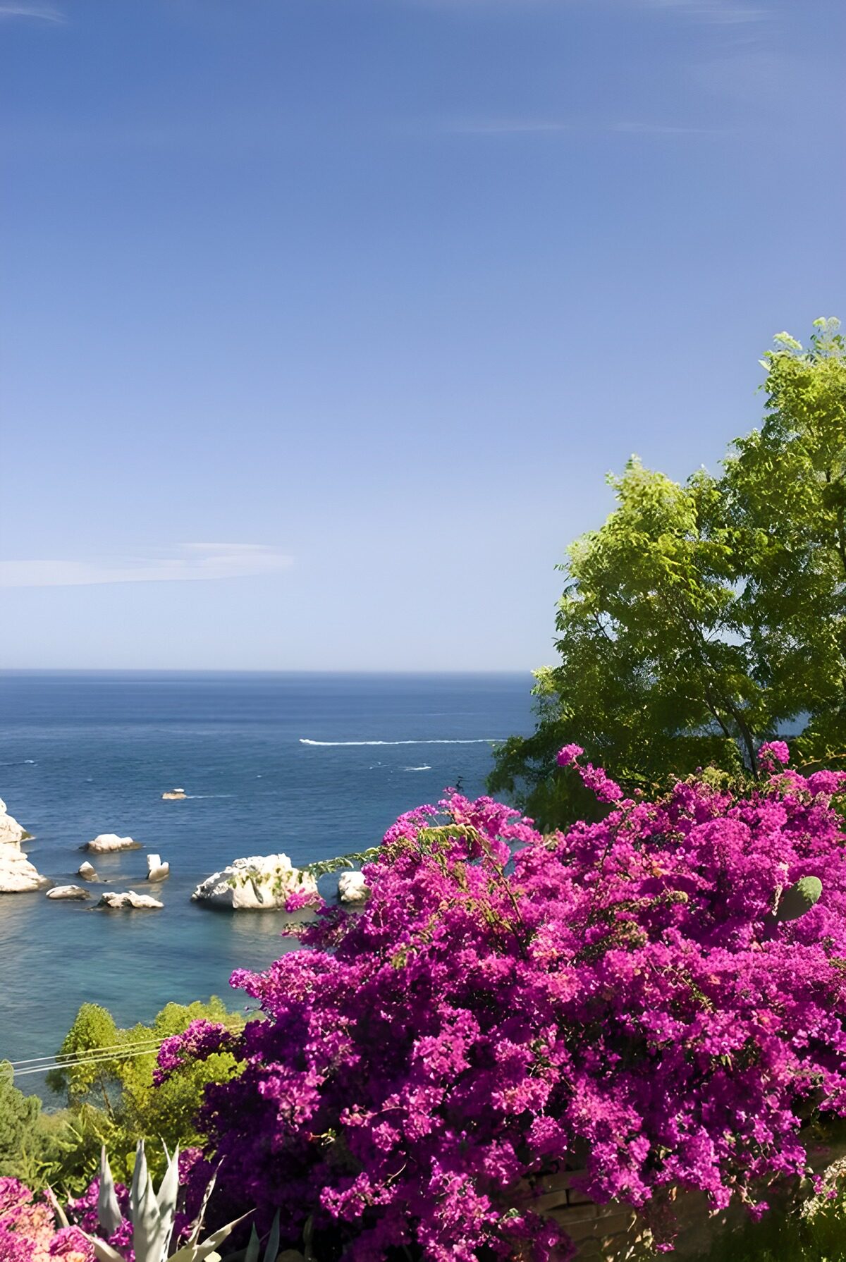HPDK52746: Bougainvillea og turkisblåt hav
