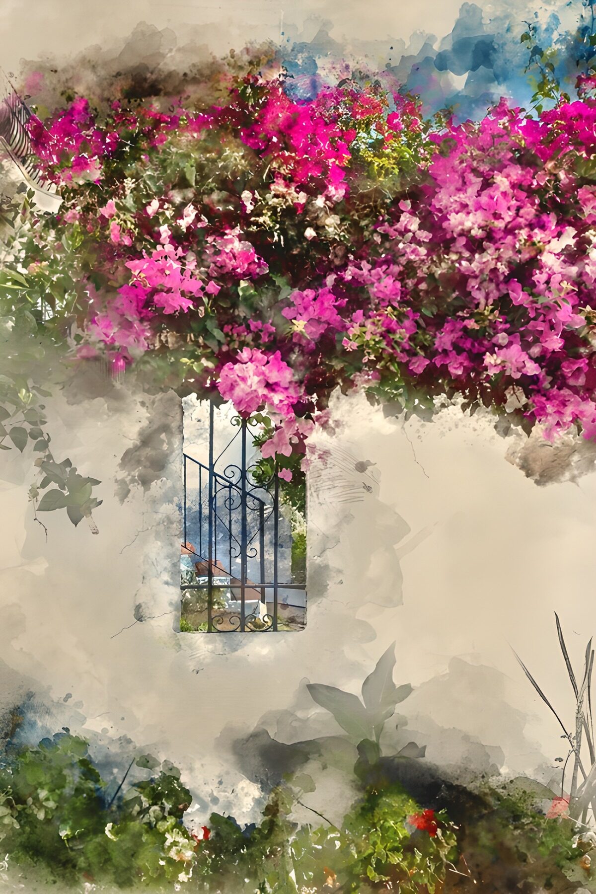 Frodig bougainvillea over den hvide mur