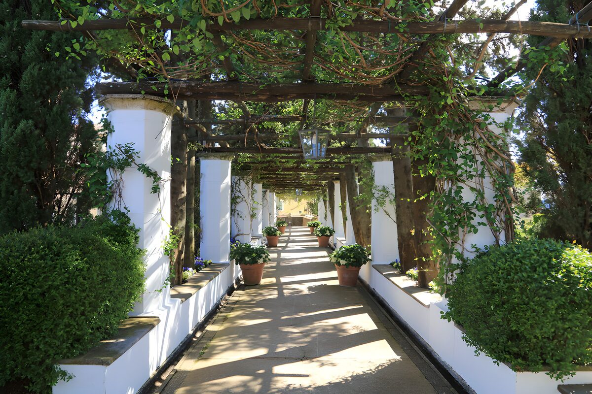 HPDK47074: Skyggefuld pergola med hvide søjler