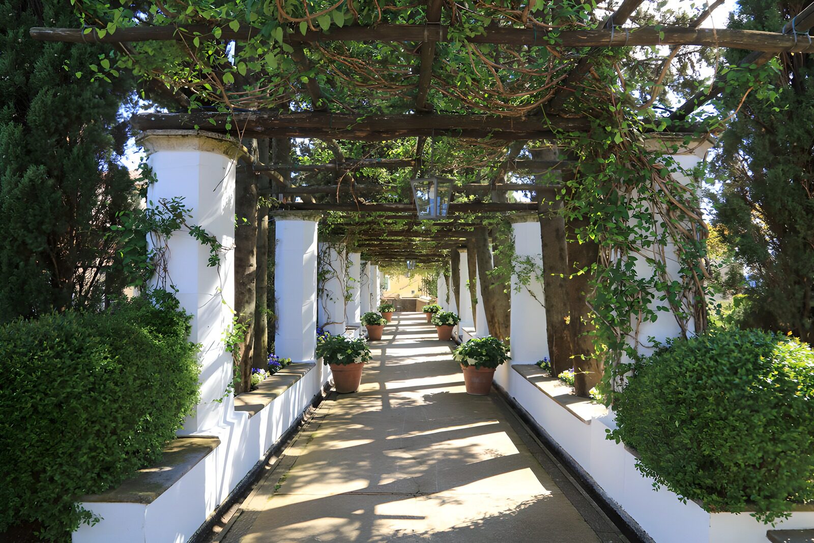 HPDK47074: Skyggefuld pergola med hvide søjler