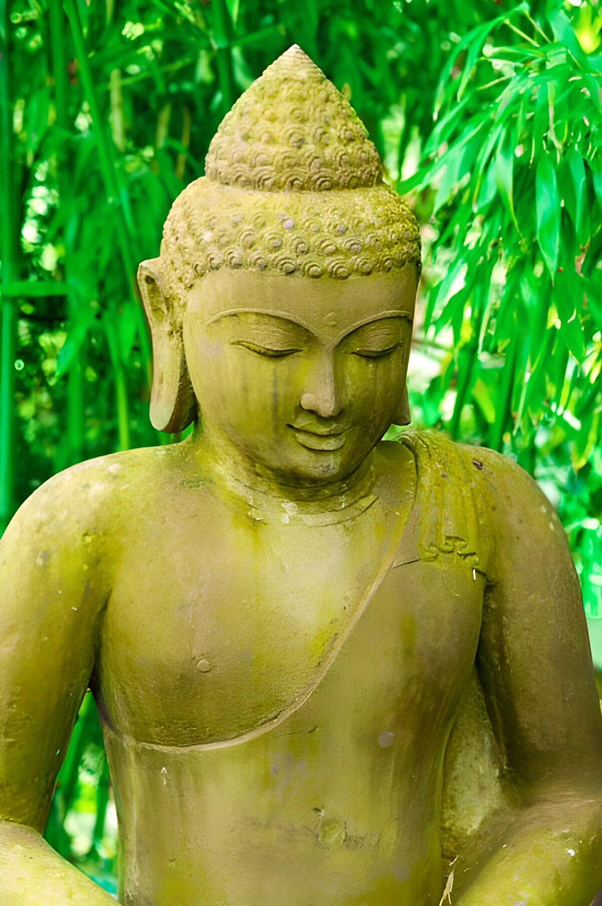 Vejrbidt buddhastatue blandt bambus
