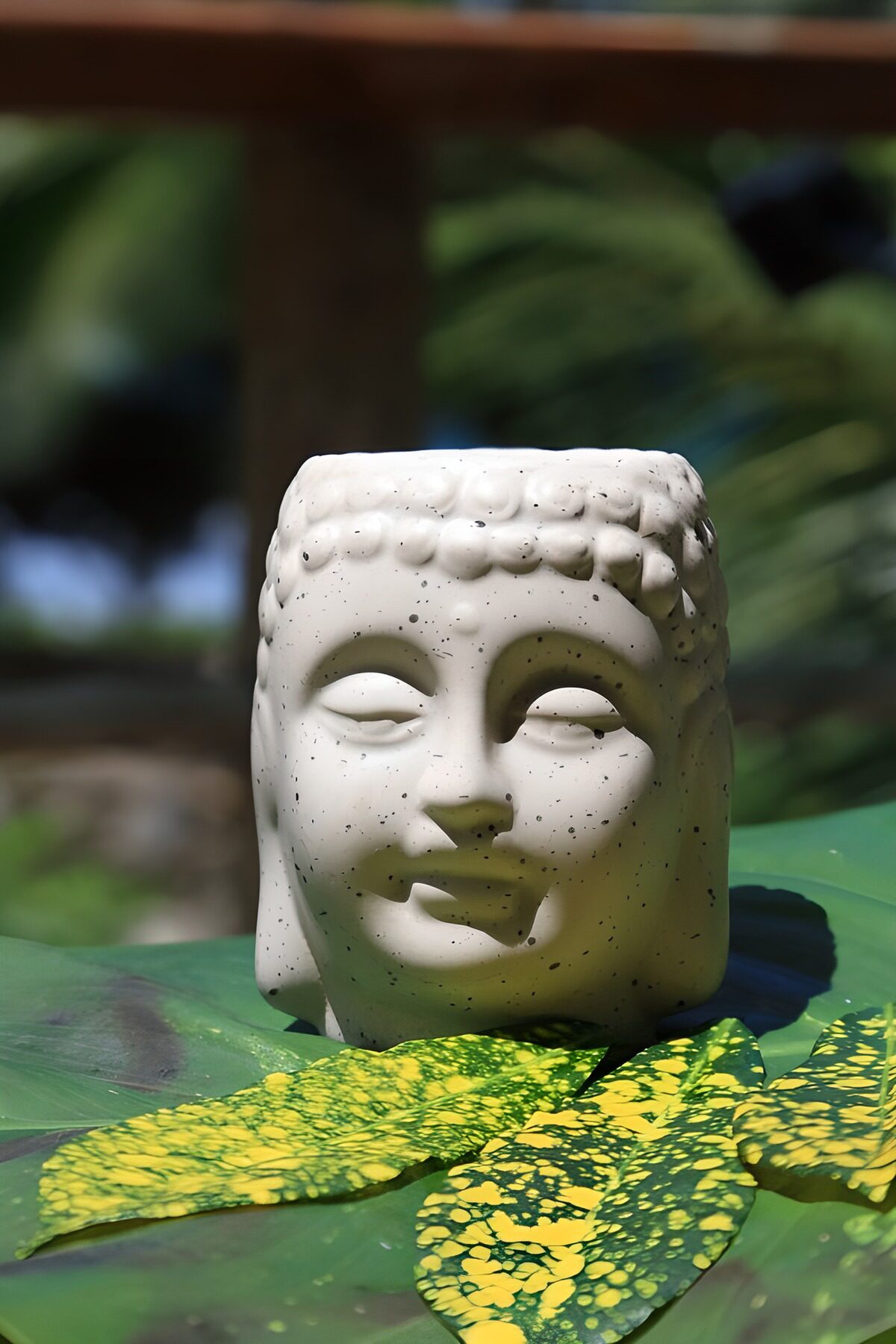 Hvidt buddhahoved i sol og grønne blade
