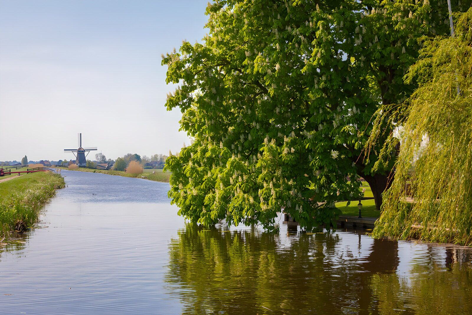 HPDK27425: Vindmølle og blomster langs en solrig kanal