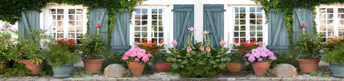 Hvidt hus med frodige blomsterkrukker