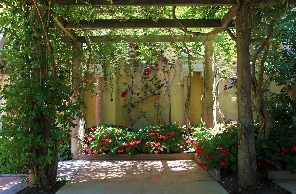 Pergola med blomster og sval skygge