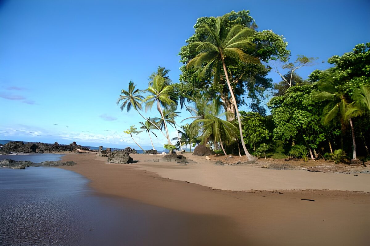 Palmer og klipper ved en stille tropestrand