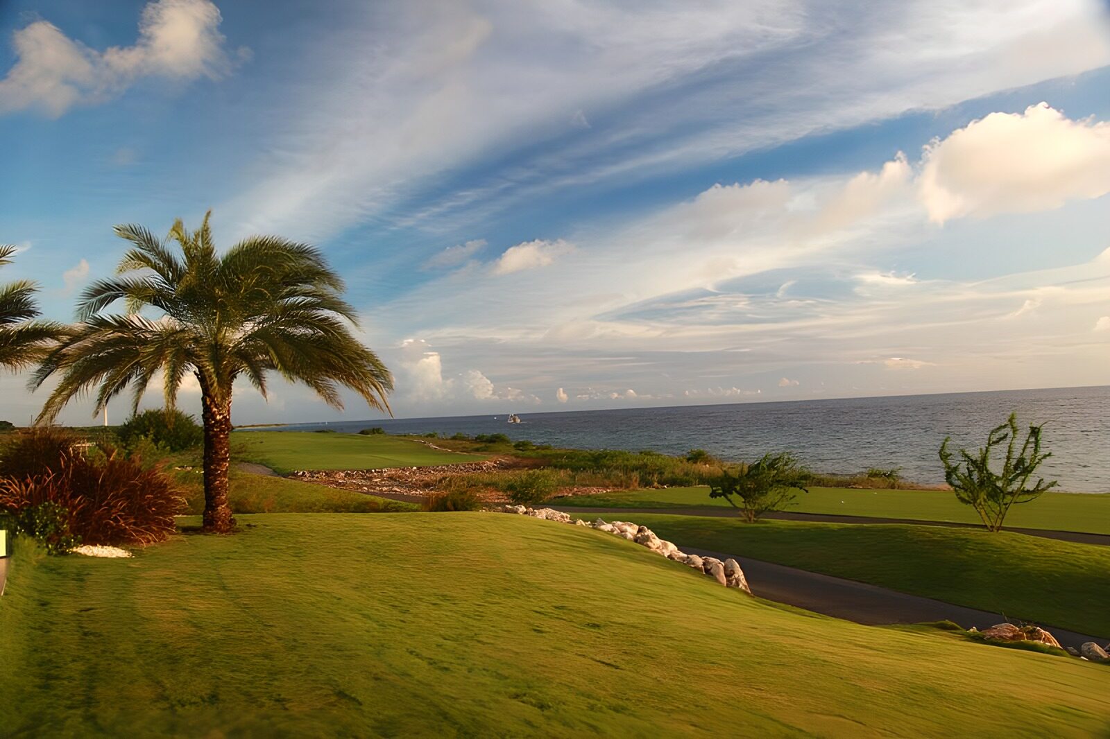 HPDK40180: Golfbane ved havet i varmt aftenlys