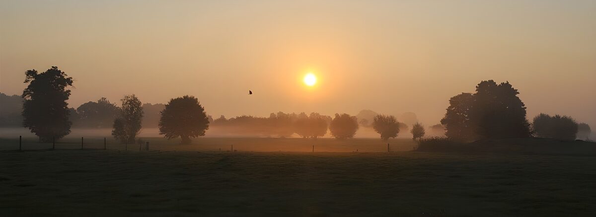 Solopgang over engen i morgendis