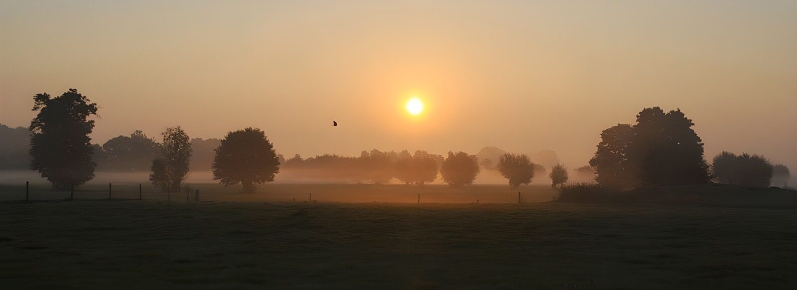HPDK99666: Solopgang over engen i morgendis