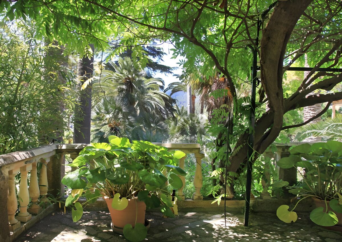 Frodig terrasse med stenbalustrade