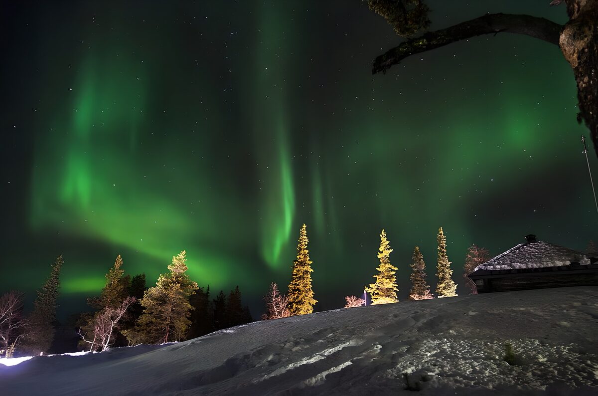 Grønt nordlys over sne og skov