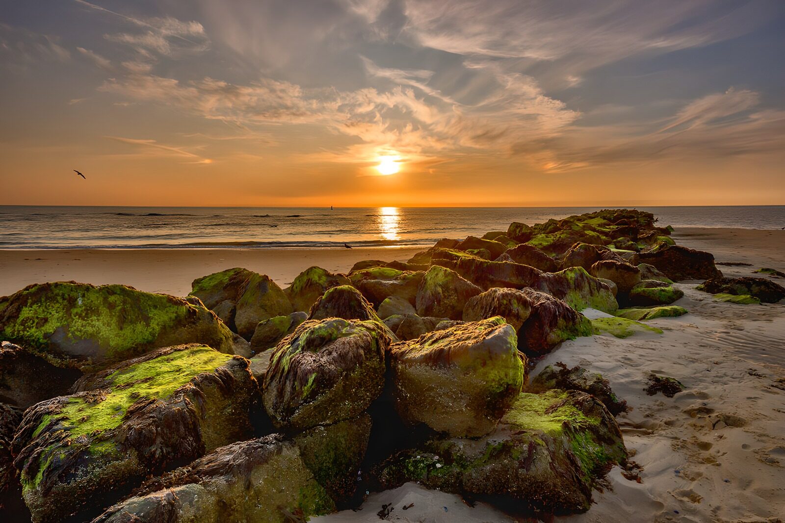 HPDK83691: Bølgebryder ved stranden i solnedgang