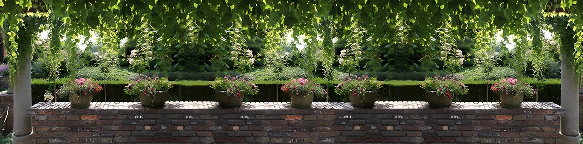 HPDK95934: Blomsterkrukker på havens røde mur