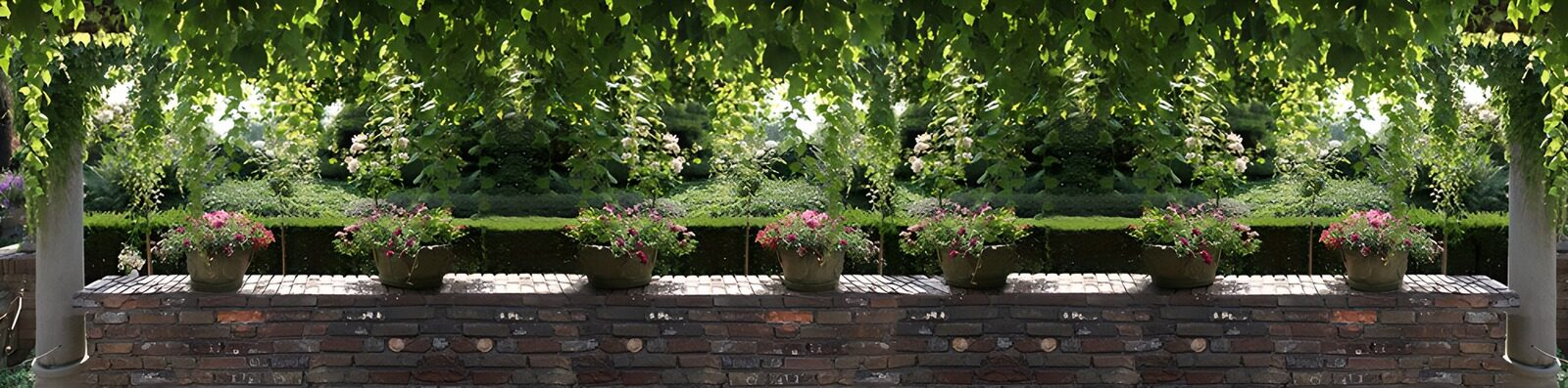 HPDK95934: Blomsterkrukker på havens røde mur