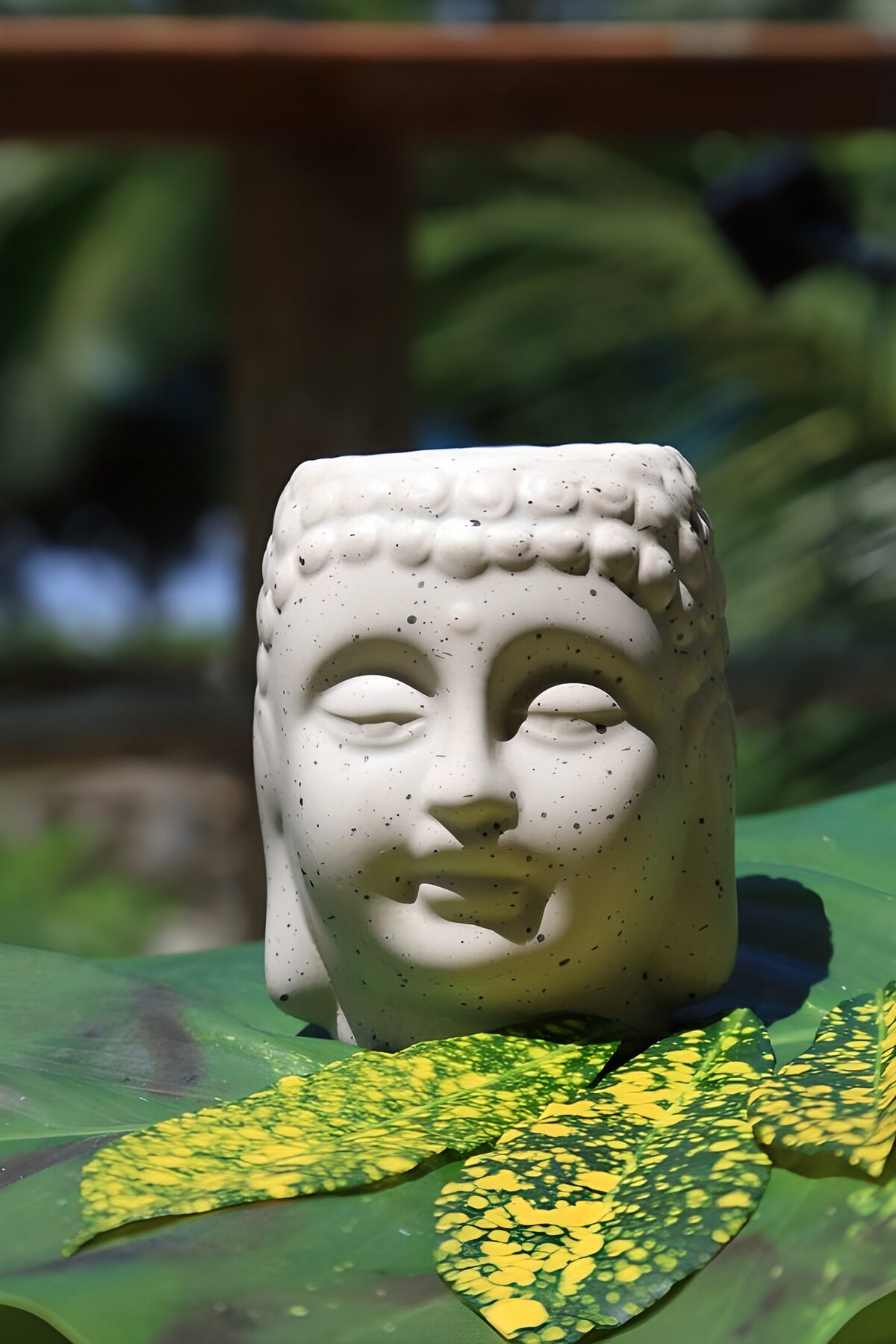 Hvidt buddhahoved på et grønt blad