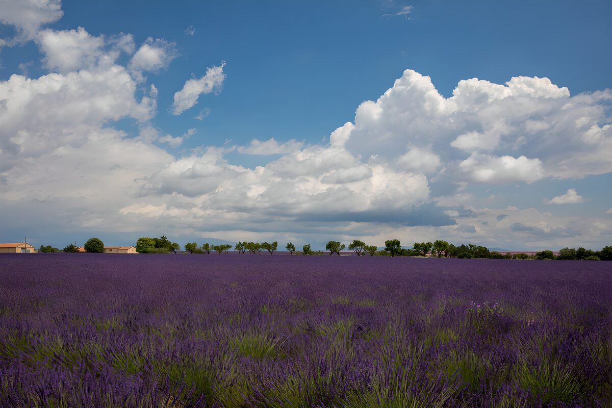 Et lilla hav under en himmel af skyer