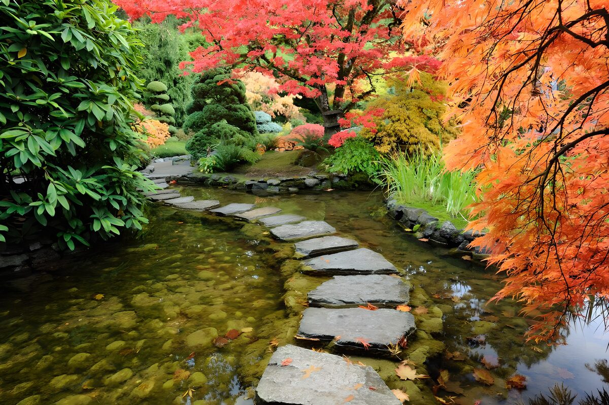 Japanske haver