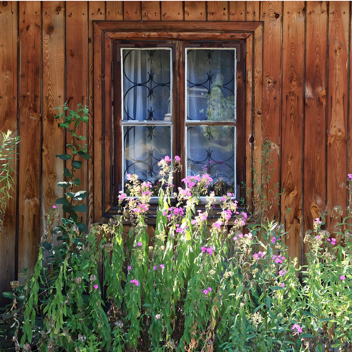 Træfacade med vindue og lyserøde blomster