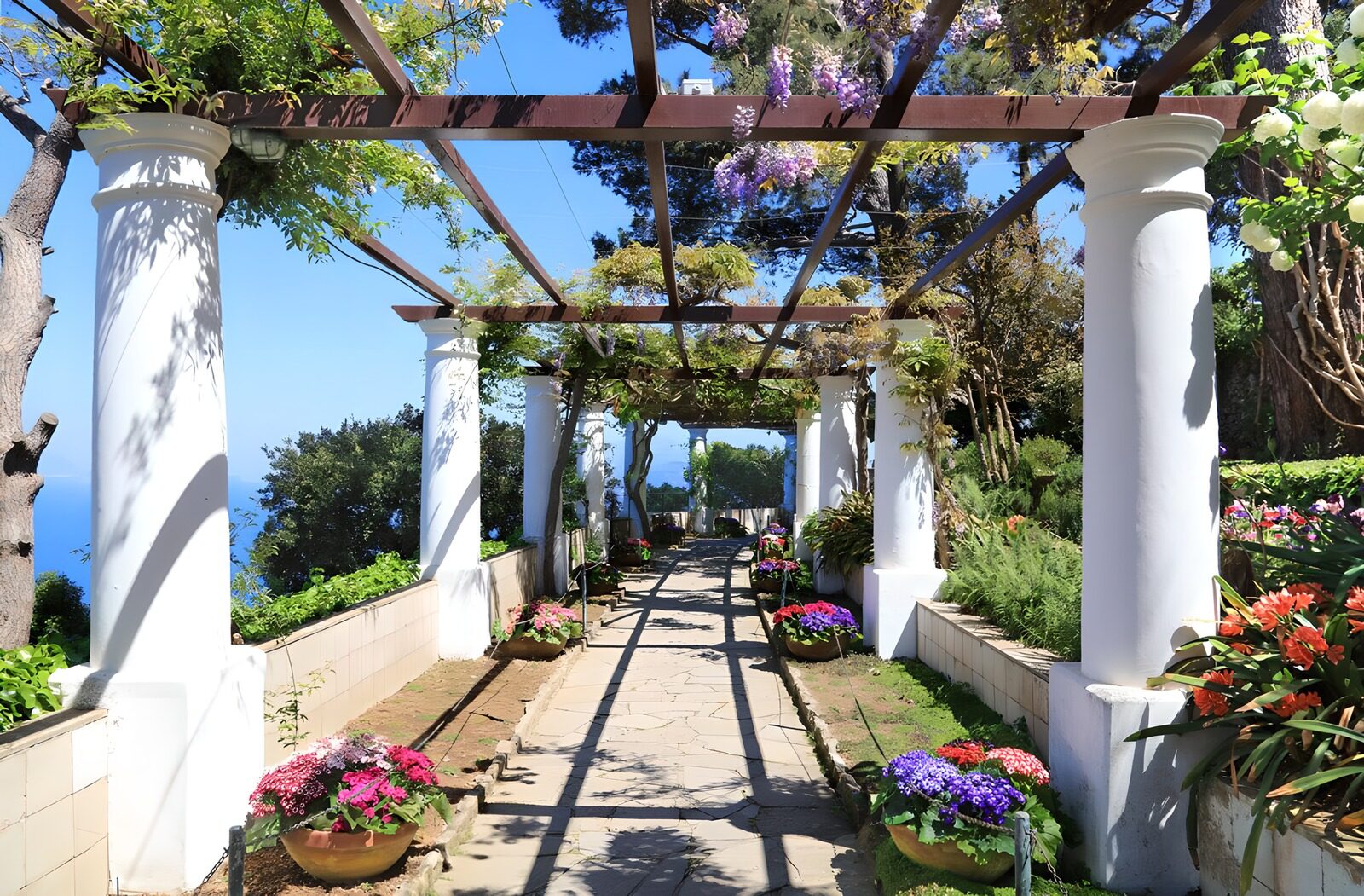 HPDK76229: Solrig pergola med blåregn
