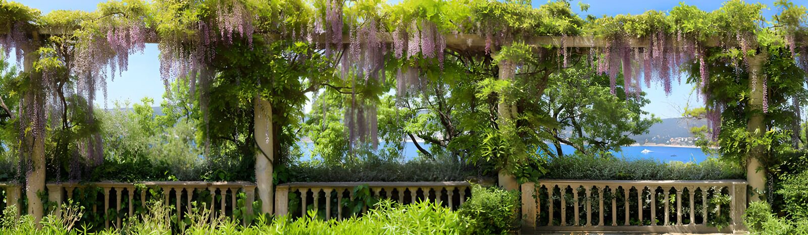 HPDK45640: Pergola med blåregn og havudsigt