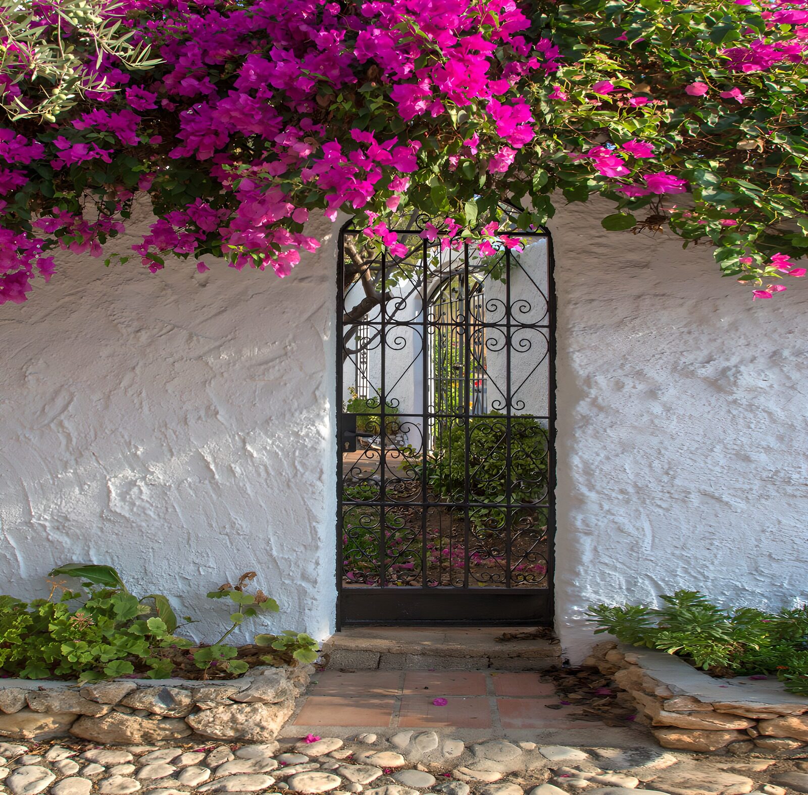 HPDK27312: Sort havelåge under pink bougainvillea