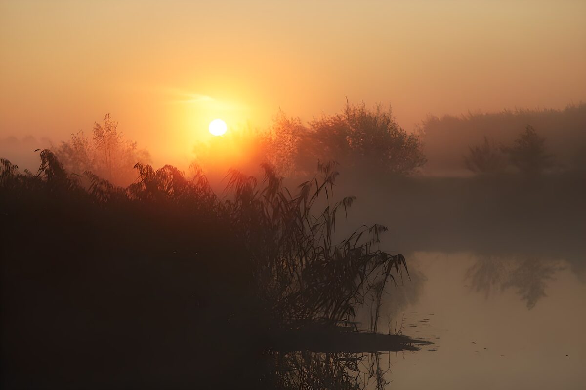 Morgensol over søen i tåge