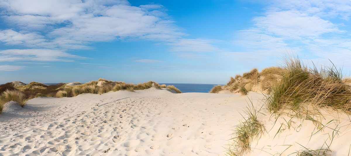 Lyse klitter med udsigt til havet