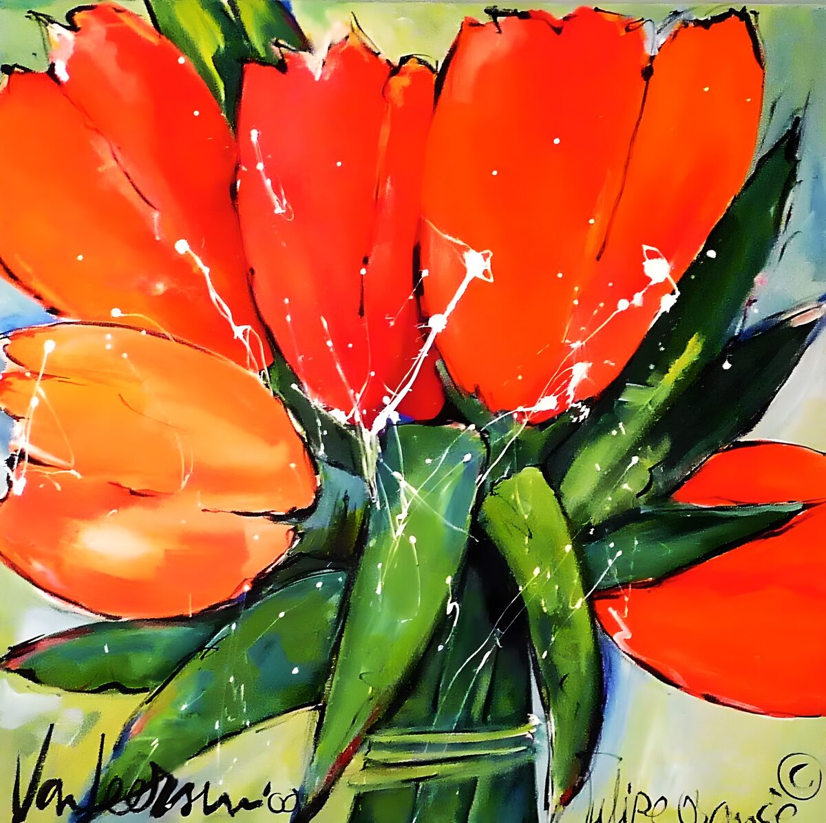 Røde og orange tulipaner i farvespil