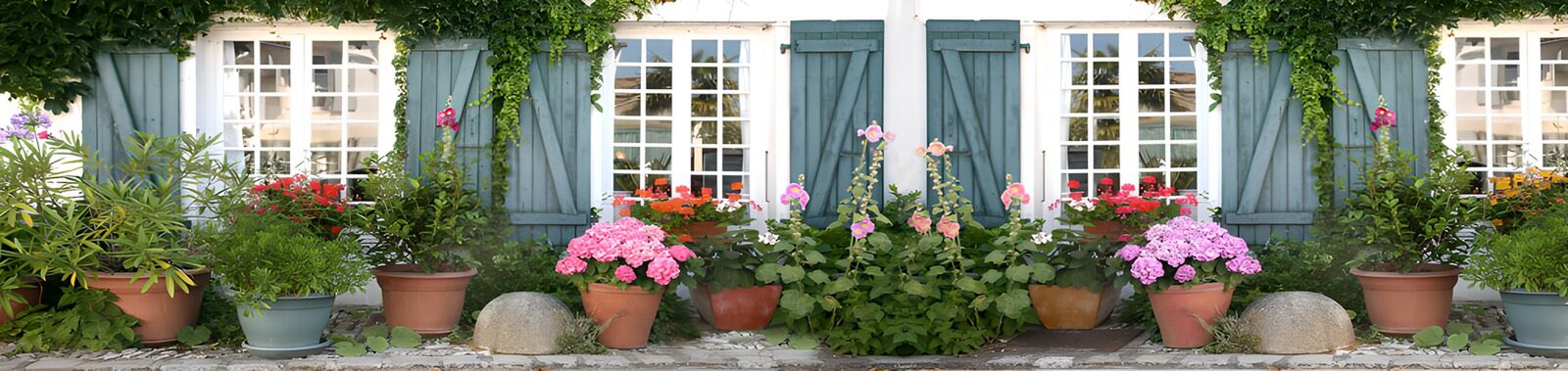 HPDK19818: Blomsterkrukker ved blågrønne skodder