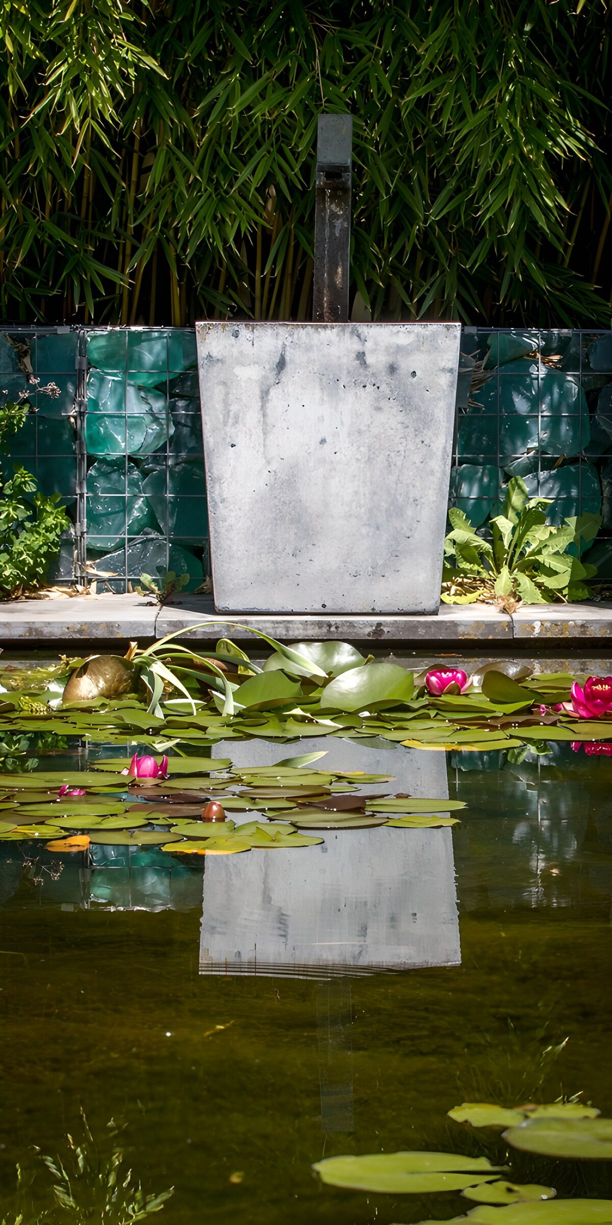 HPDK44424: Havedam med lyserøde åkander