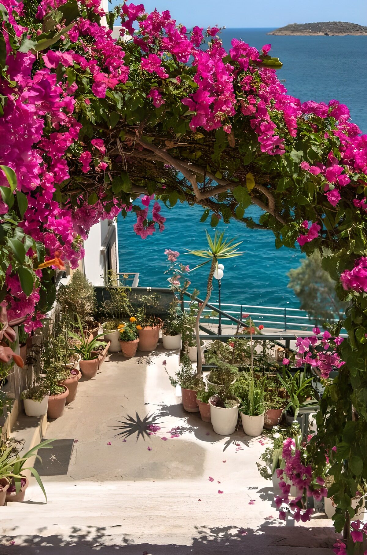 Solrig terrasse med bougainvillea