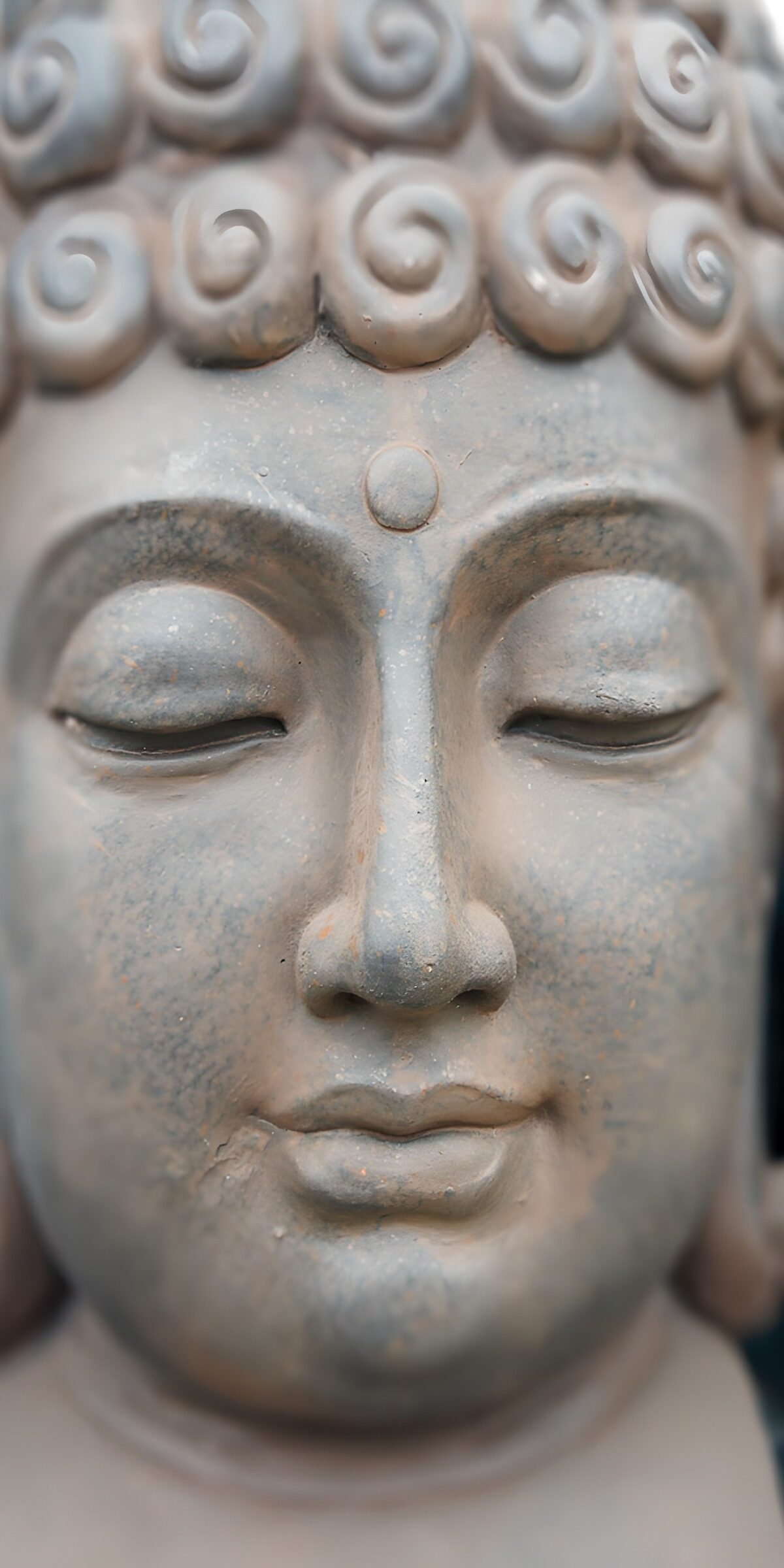 HPDK99092: Buddhas ansigt i grå sten