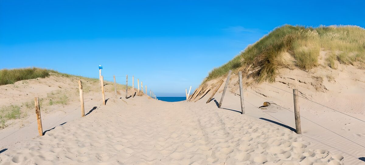 HPDK79896: Sandsti mellem klitterne mod havet