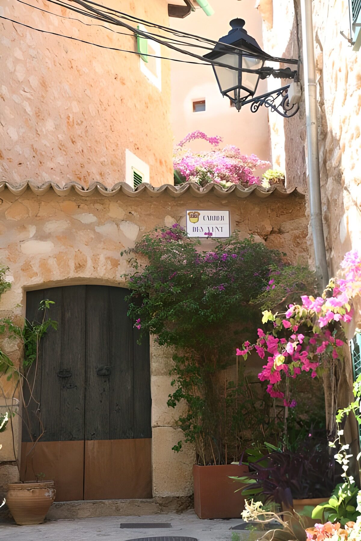 HPDK98633: Solrig gyde med bougainvillea og trædør