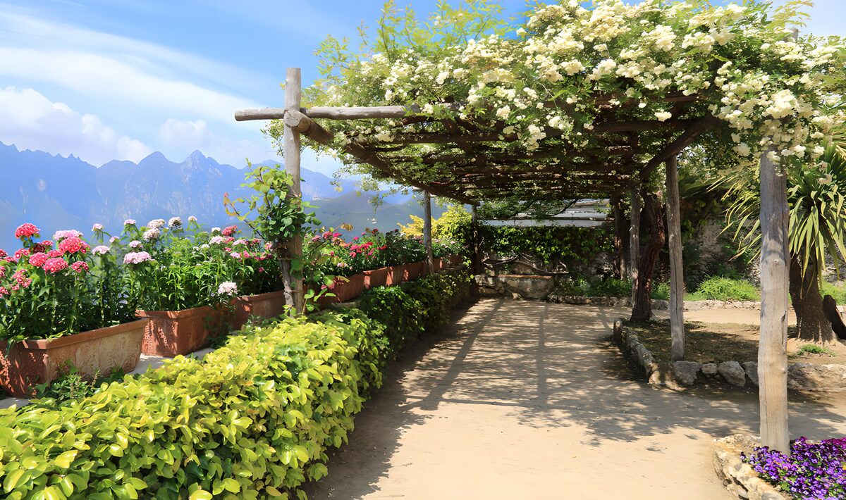 HPDK29324: Solrig haveterrasse under en grøn pergola
