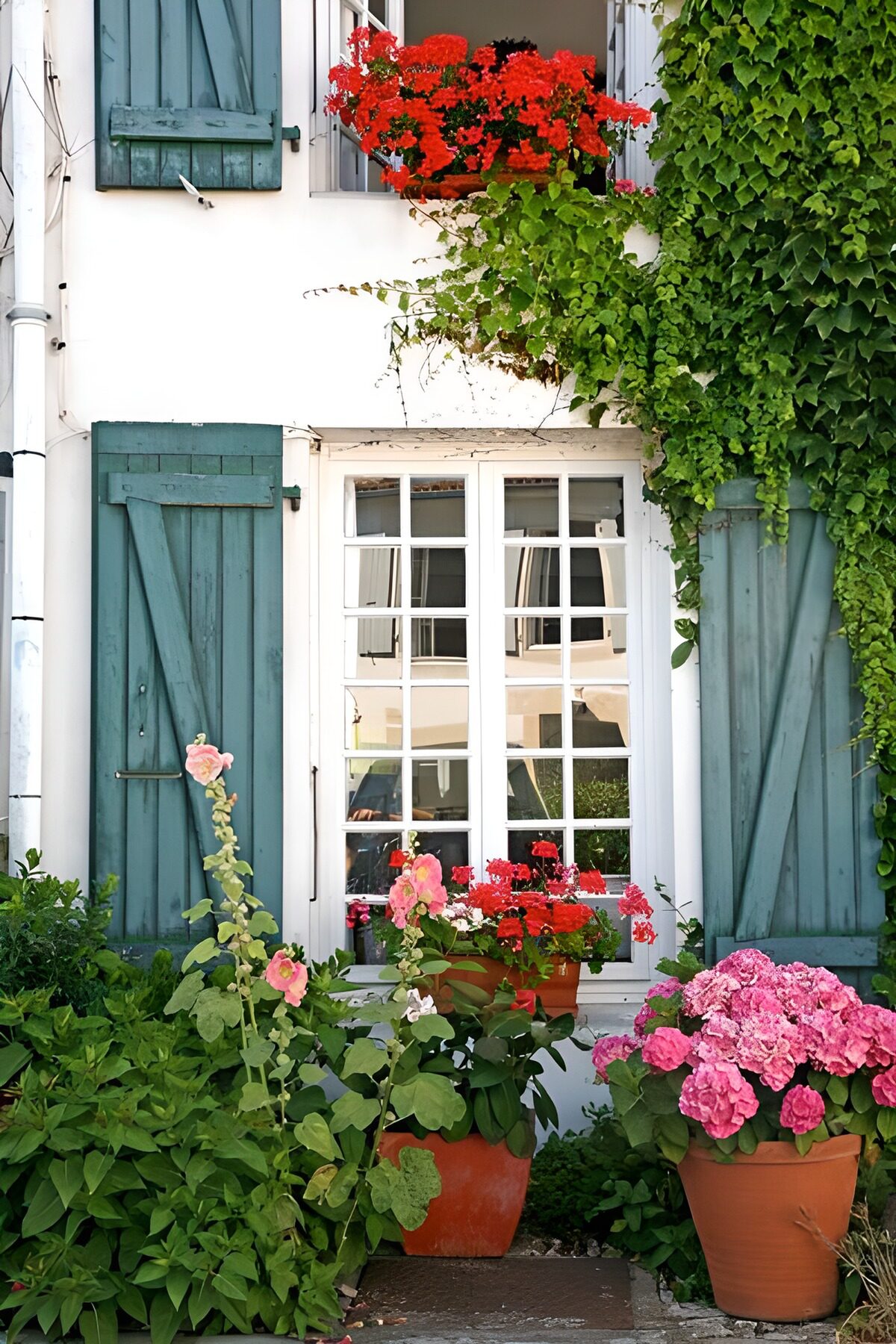 Sommerblomster ved blågrønne skodder