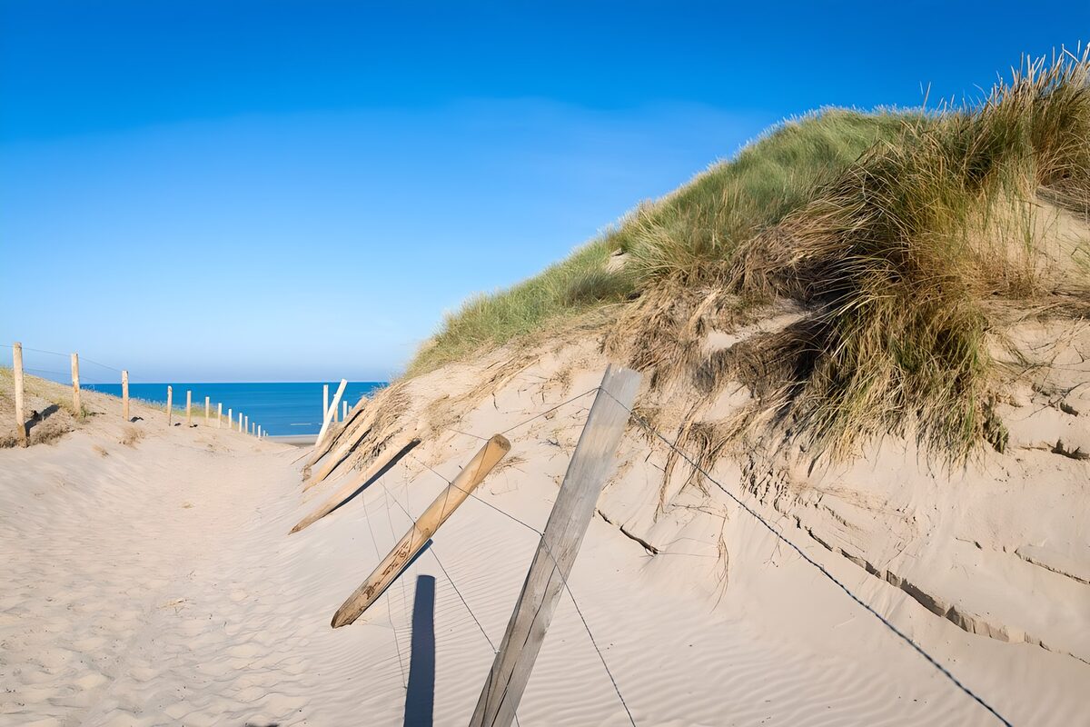 HPDK45608: Sol på sandstien mellem klitterne