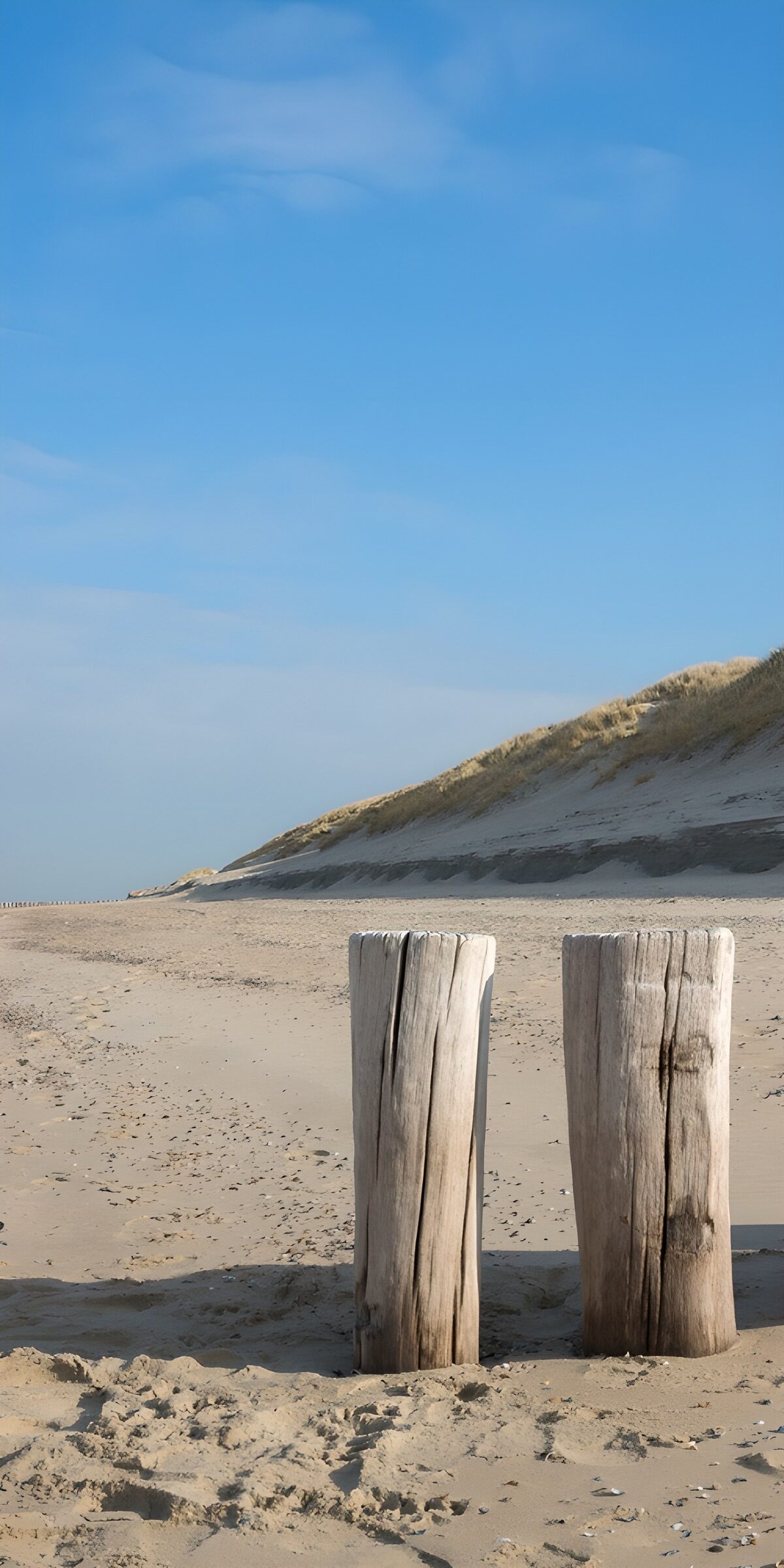 HPDK30532: To vejrbidte træpæle på en solrig strand