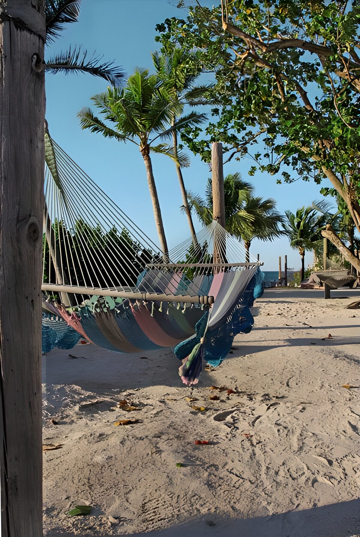 HPDK66063: Farvede hængekøjer på en solrig strand