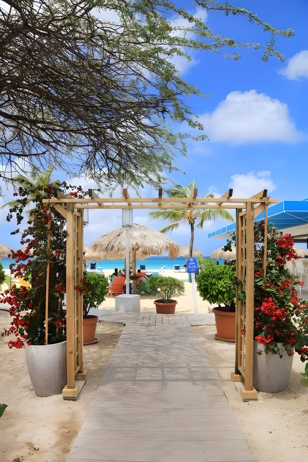 HPDK54706: Havebue med blomster ved en solrig strand