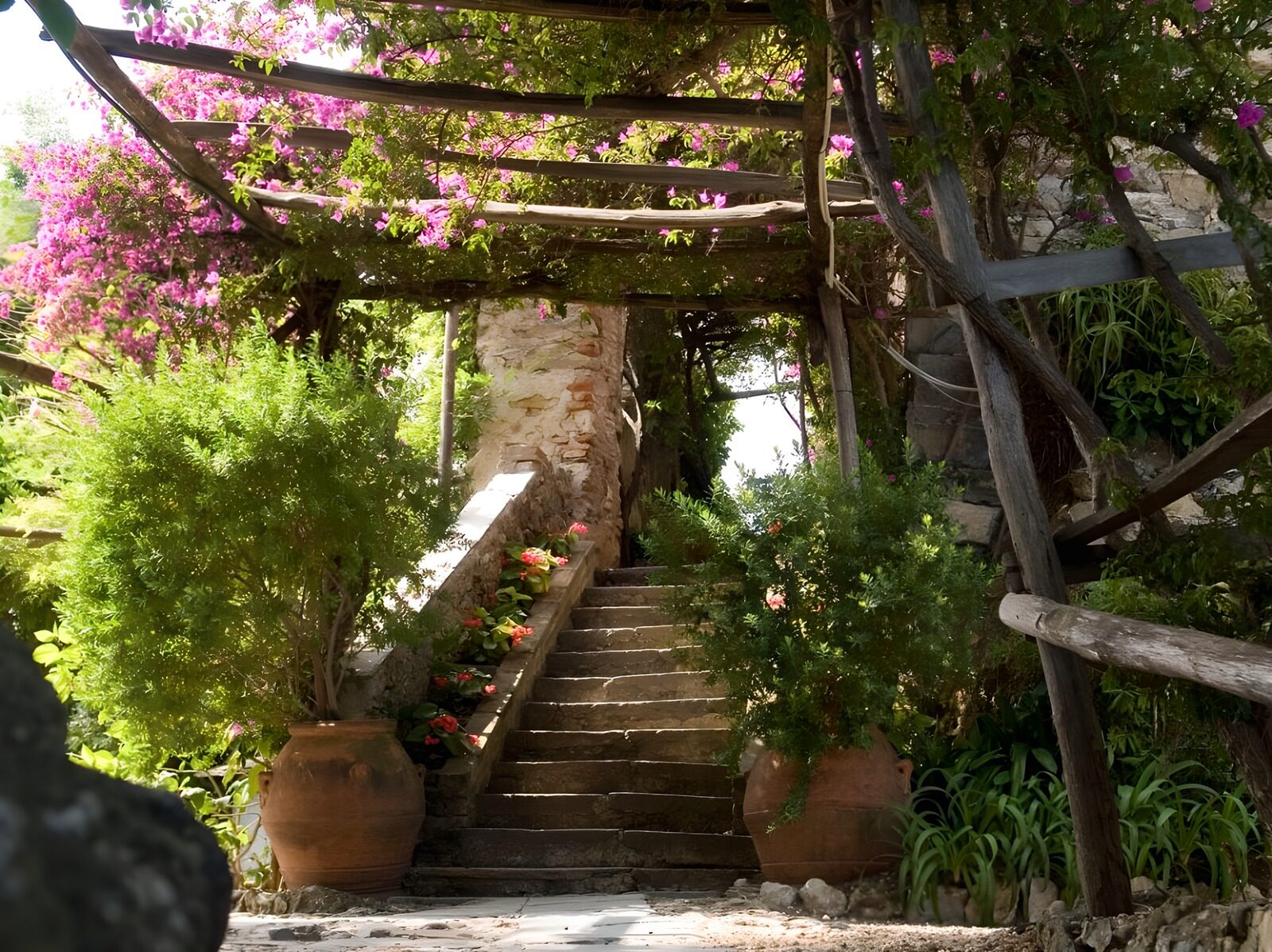 HPDK59418: Stentrappe under en blomstrende pergola