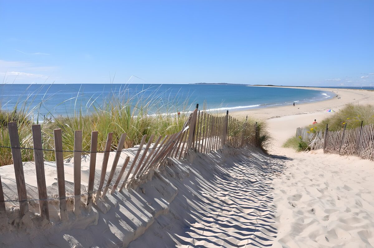 HPDK87241: Sandsti mellem klitter og strandhegn