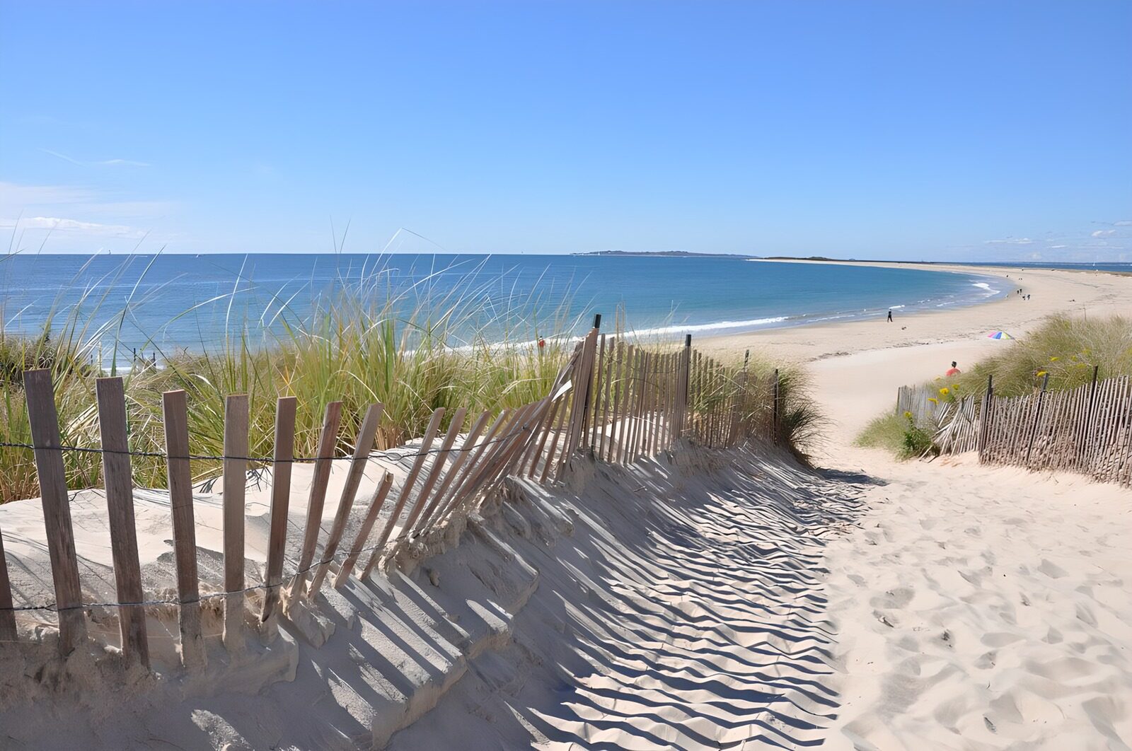 HPDK87241: Sandsti mellem klitter og strandhegn