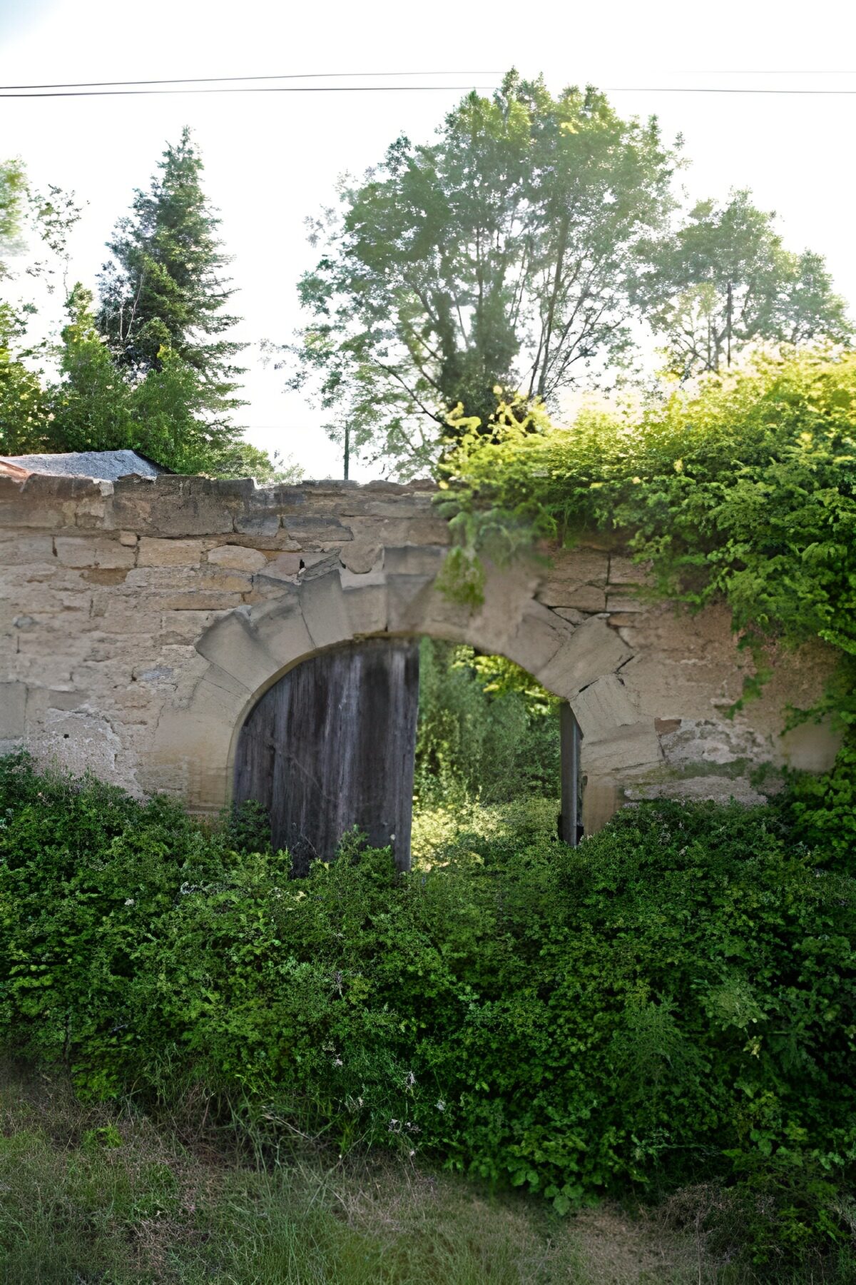 HPDK17531: Gammel stenport i en vildtvoksende have