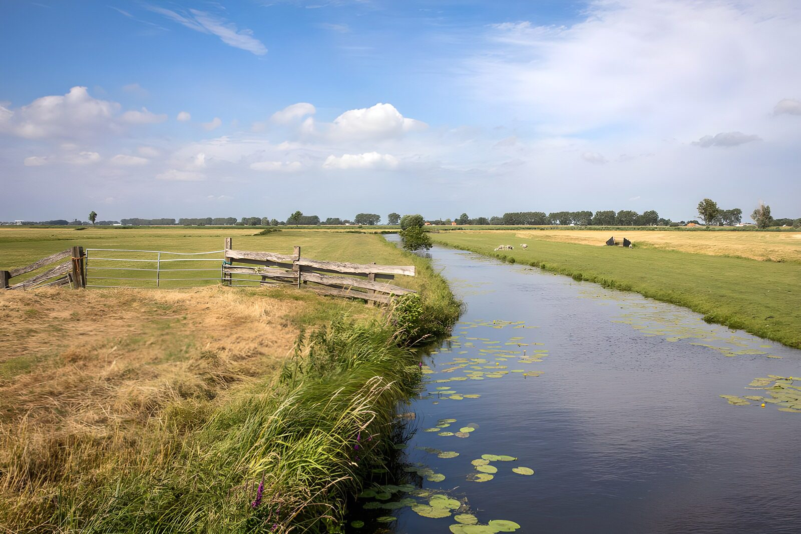 HPDK83857: Kanal mellem marker under blå himmel